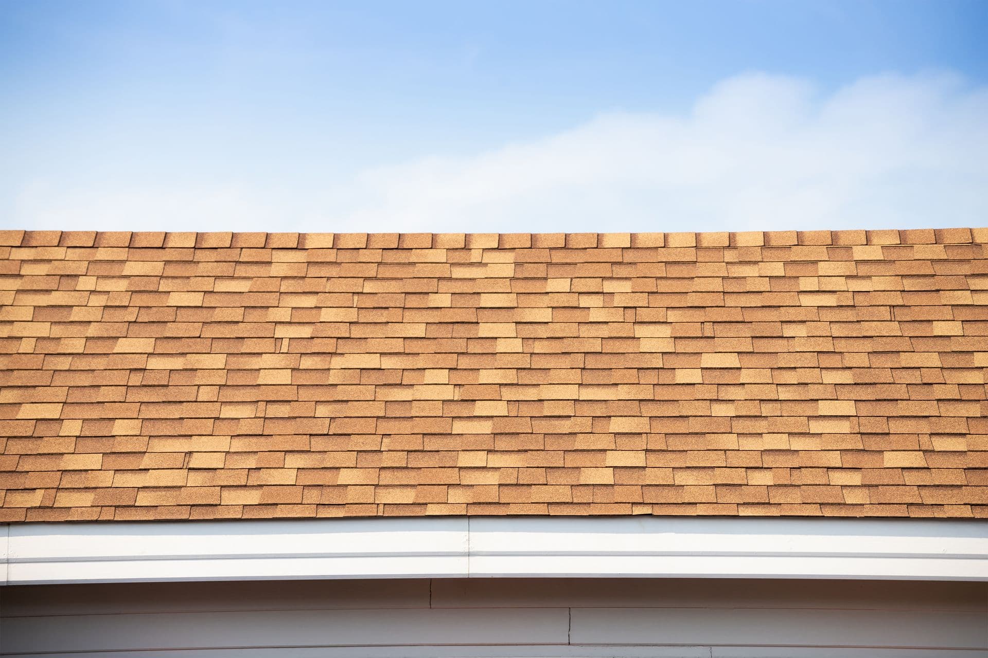 sunny roof