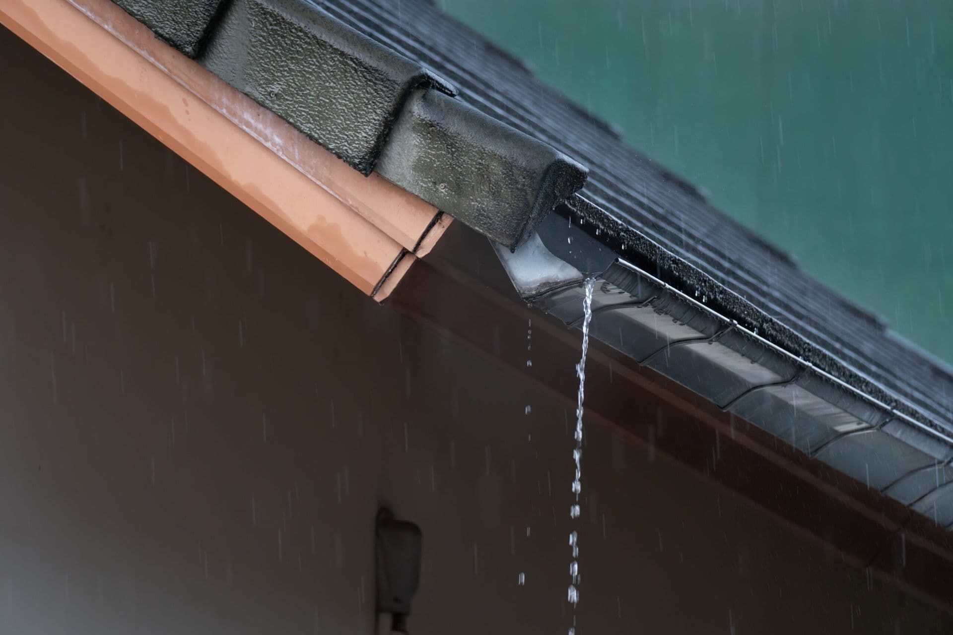 Gutter Trouble 1