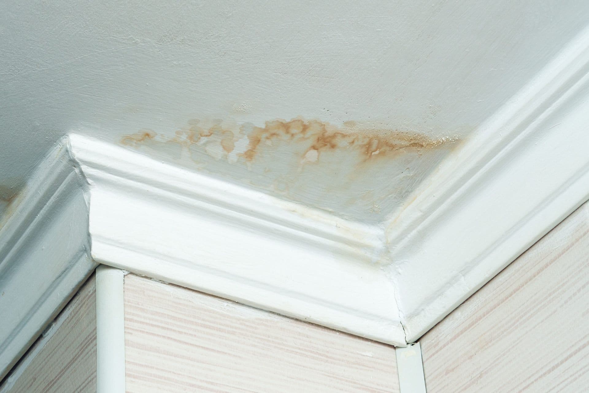 stained ceiling 1