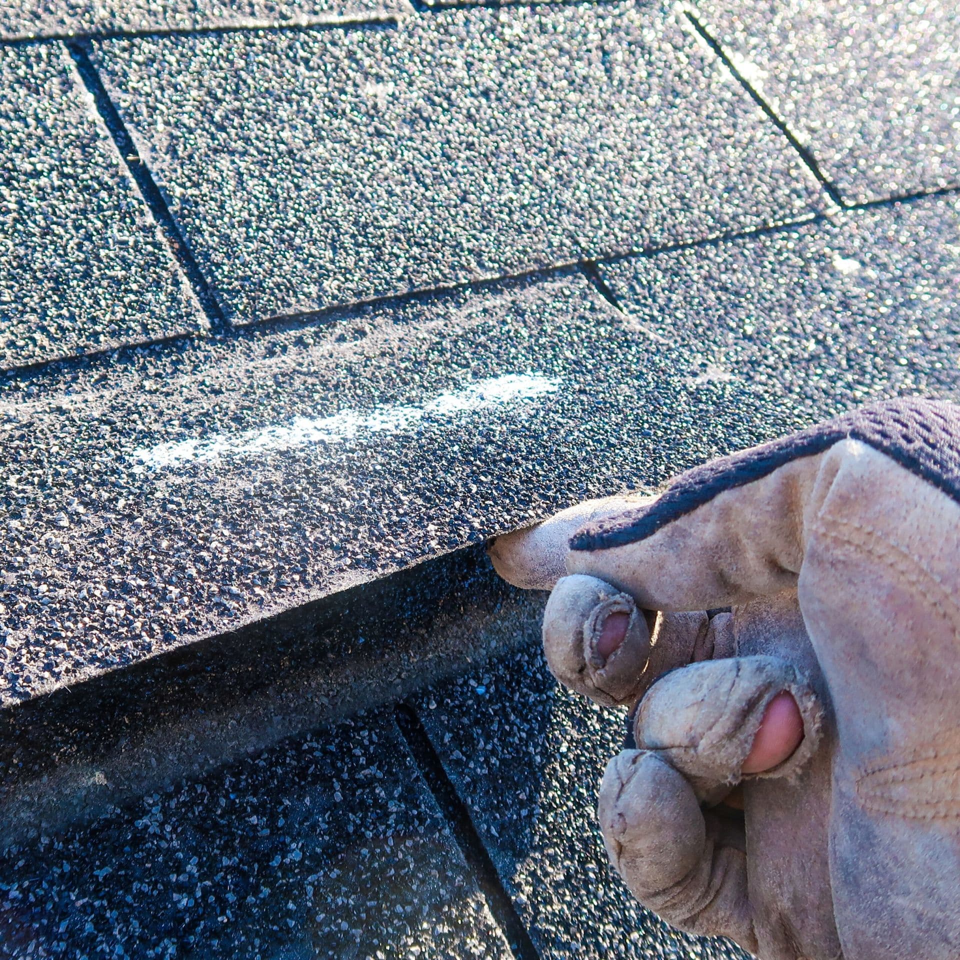 Roof 1
