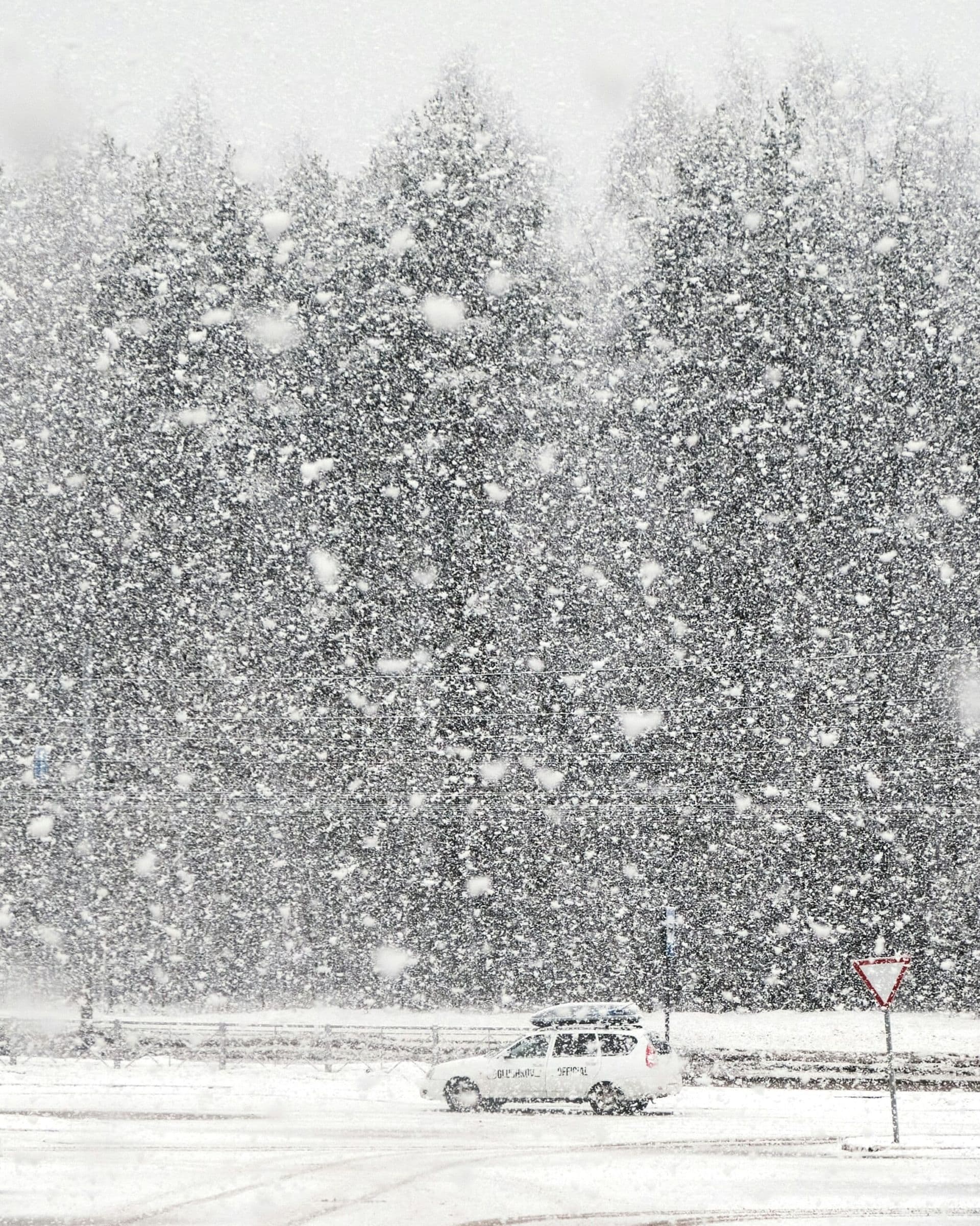 Winter Weather