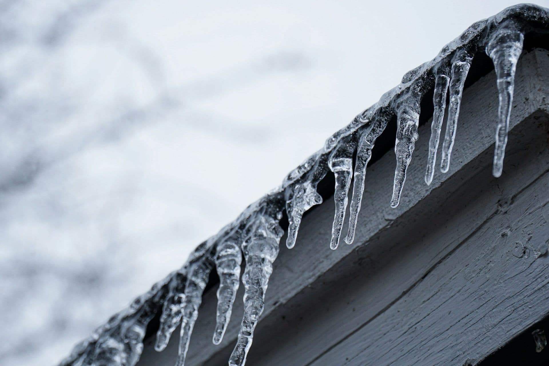 icecicles