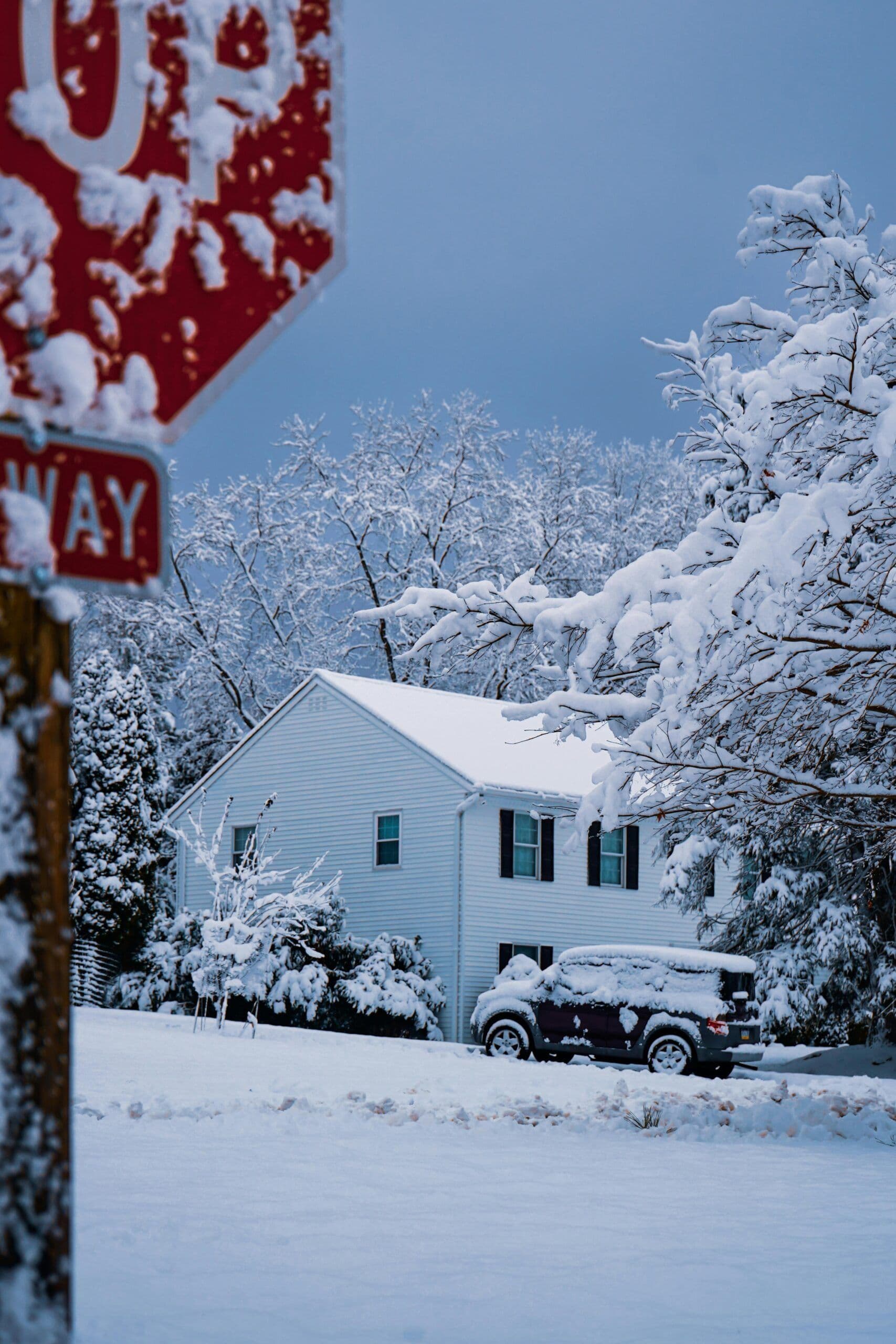 What Should Homeowners Check After Winter