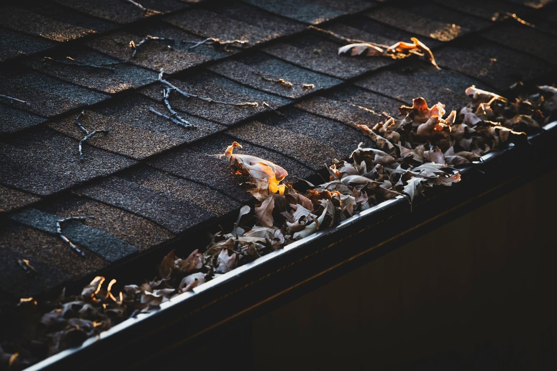 Gutters for Roof Protection 1