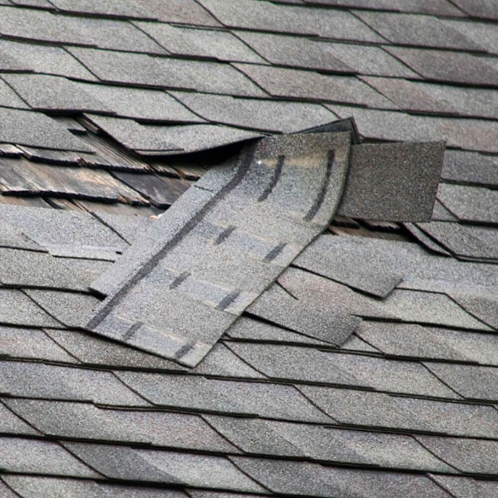 shingles 1