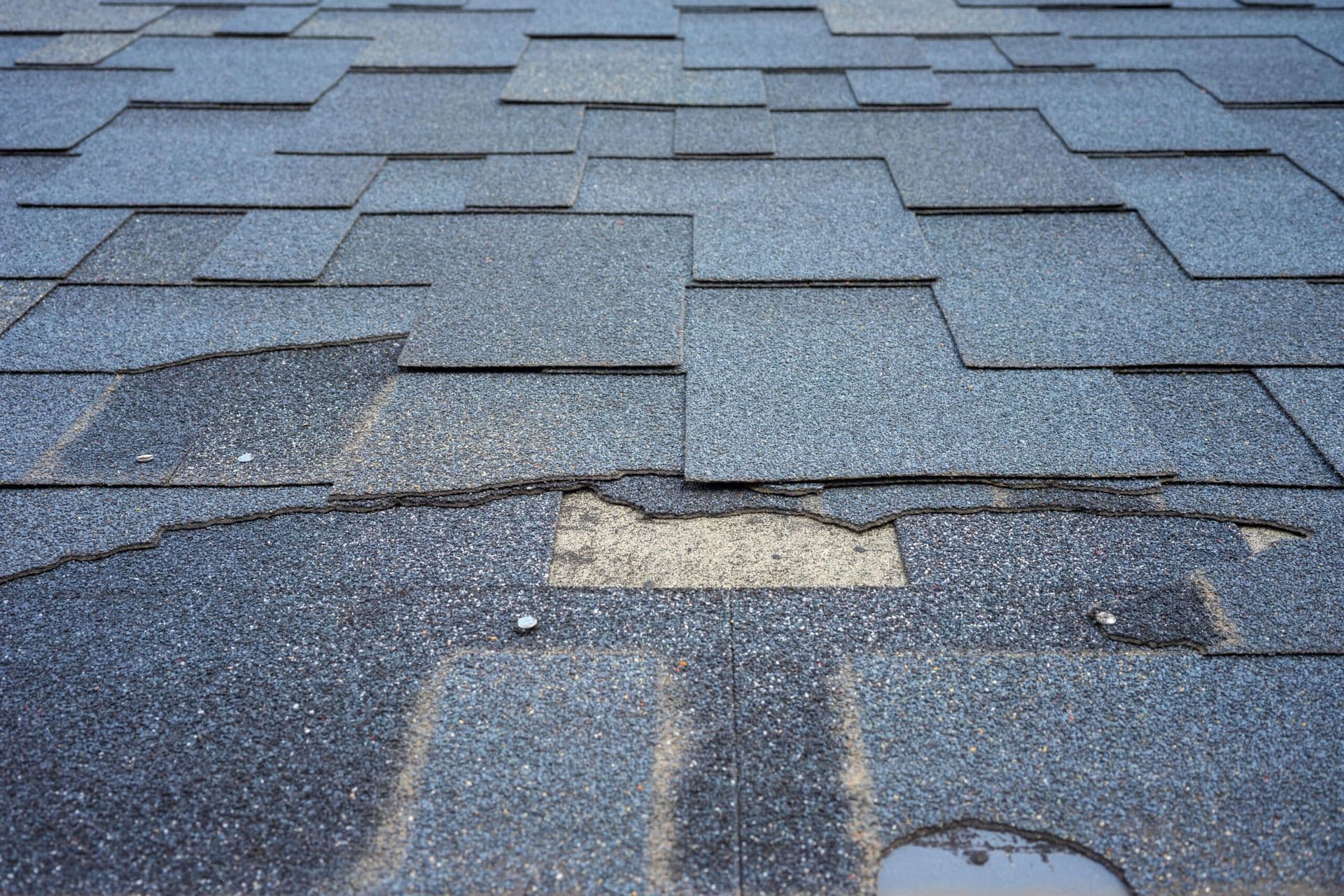 Roof Suffers Wind Damage