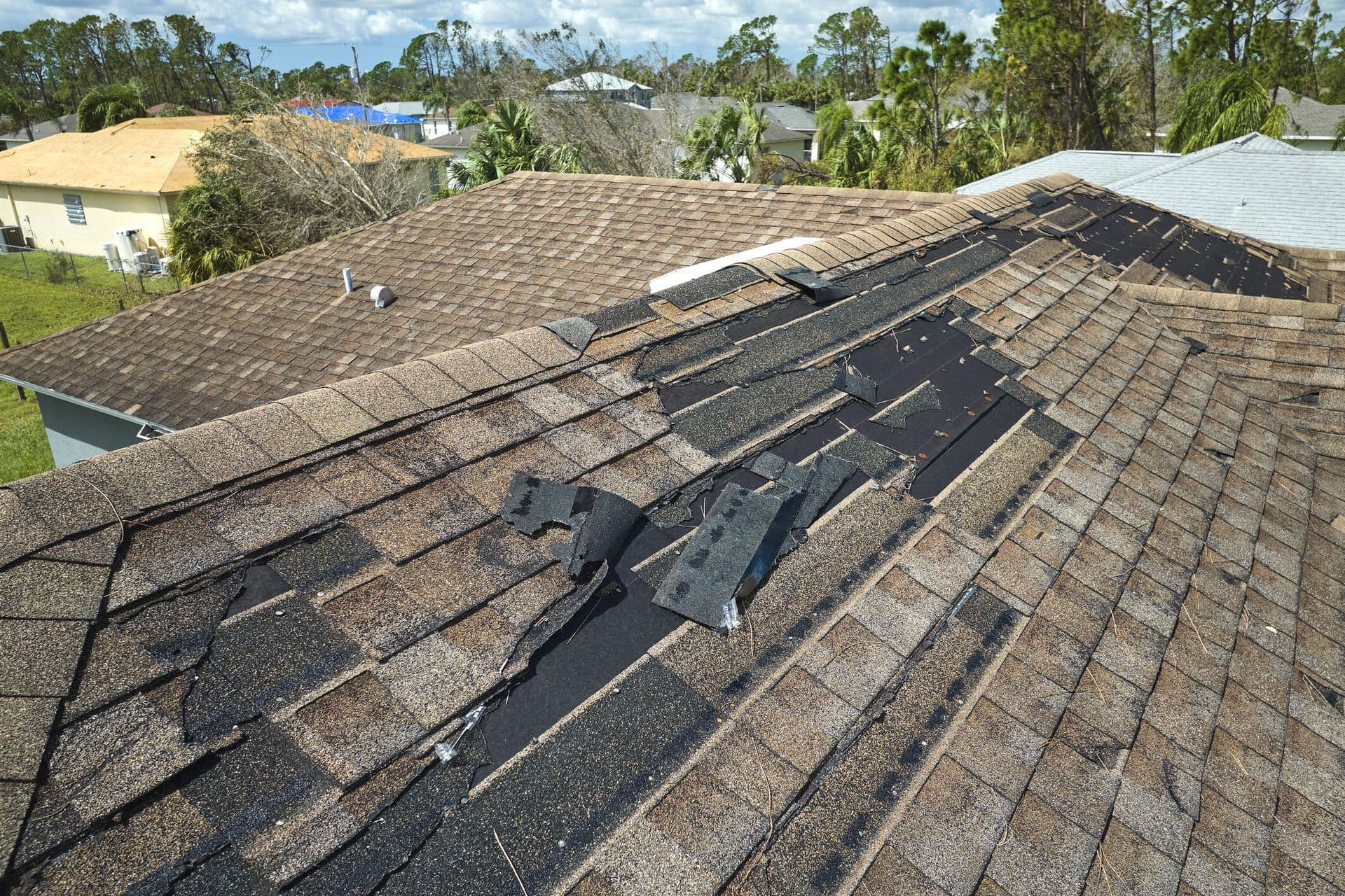 McCoy Roofing photo 2