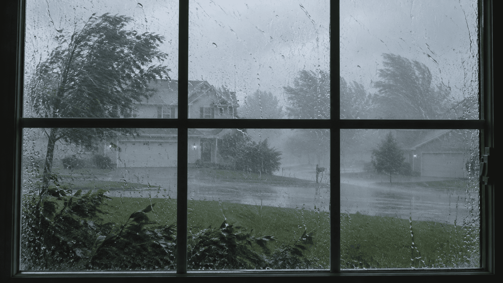 wind and rain